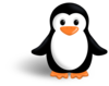 Linux Website by Ripetizioni Roma online e a domicilio